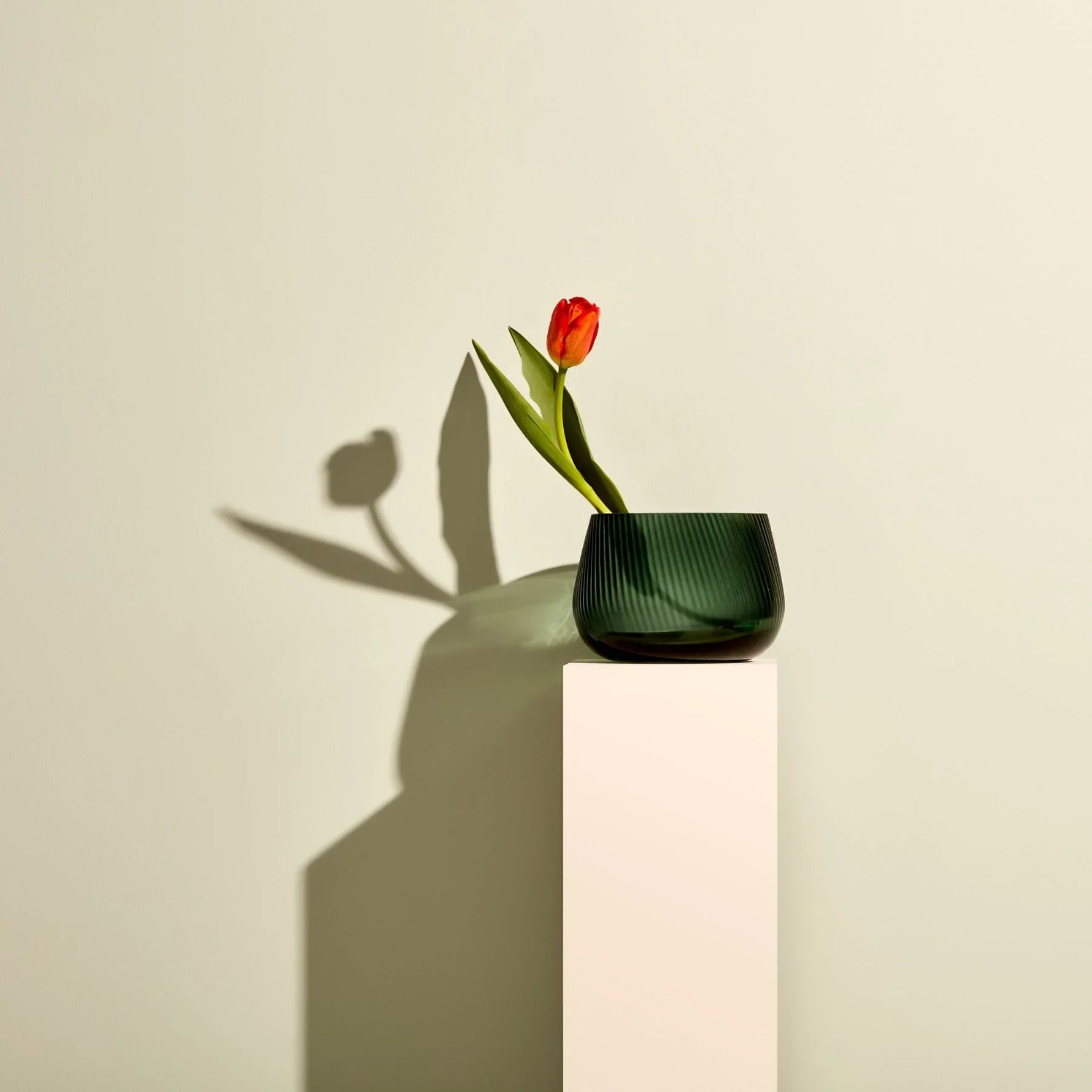Opti Vase Medium - NUDE EU