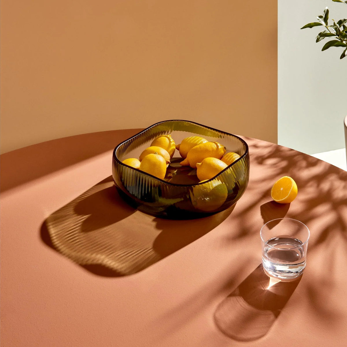 Opti Centrepiece - NUDE EU