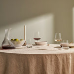 Ghost Zero Belly Red Wine Glass - NUDE EU