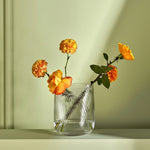 Opti Vase Tall - NUDE EU