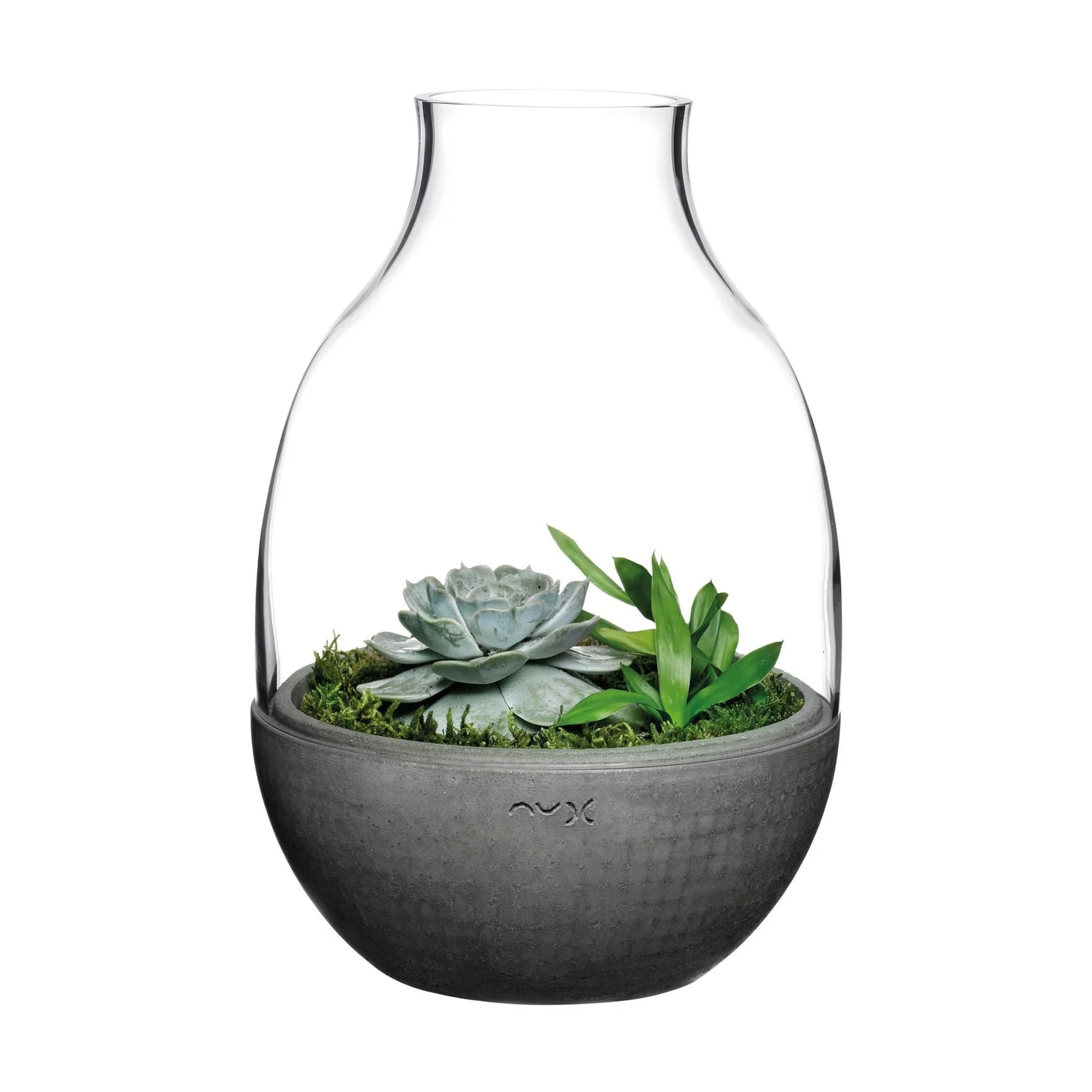 Eden Terrarium Clear with Moulded Concrete Base - NUDE EU