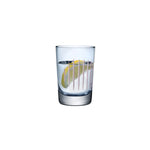 Parrot Set of 2 Water Glasses - NUDE EU