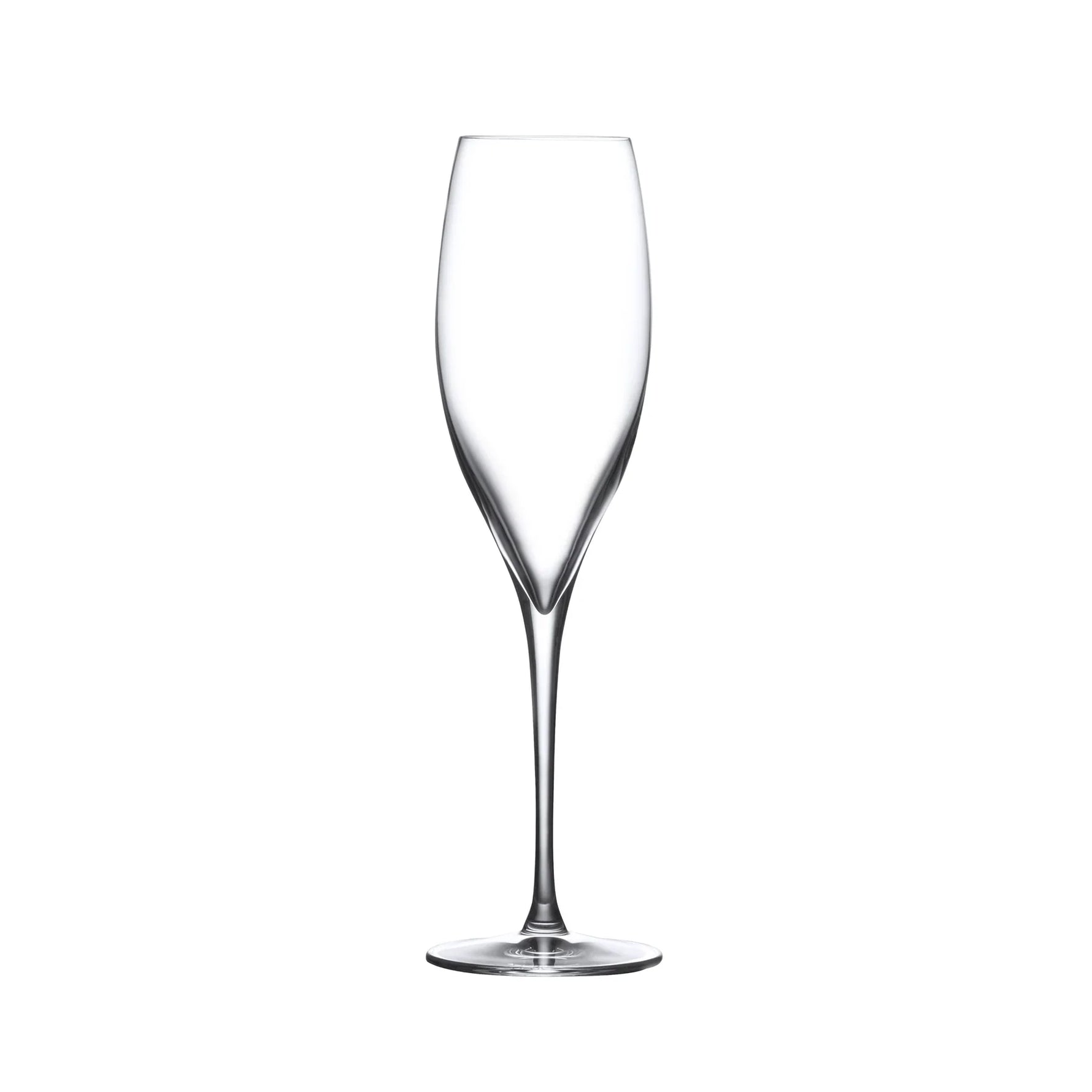 Terroir Set of 2 Champagne Glasses - NUDE EU