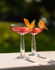 Bestseller Backyard Finale
