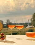 Wine Connoisseur Kit