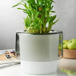 Roots Orchid Pot with Opal White Bottom - NUDE EU