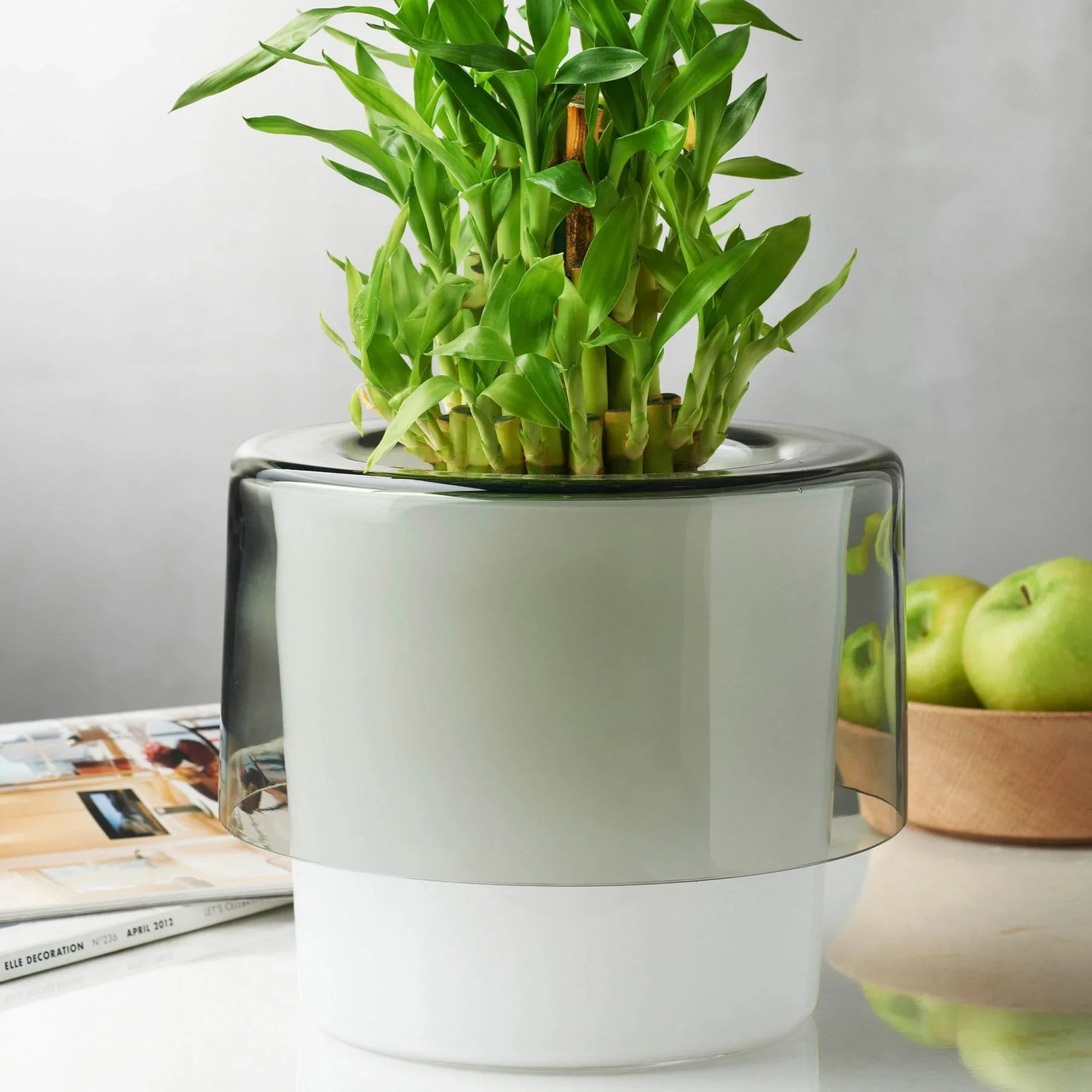 Roots Orchid Pot with Opal White Bottom - NUDE EU