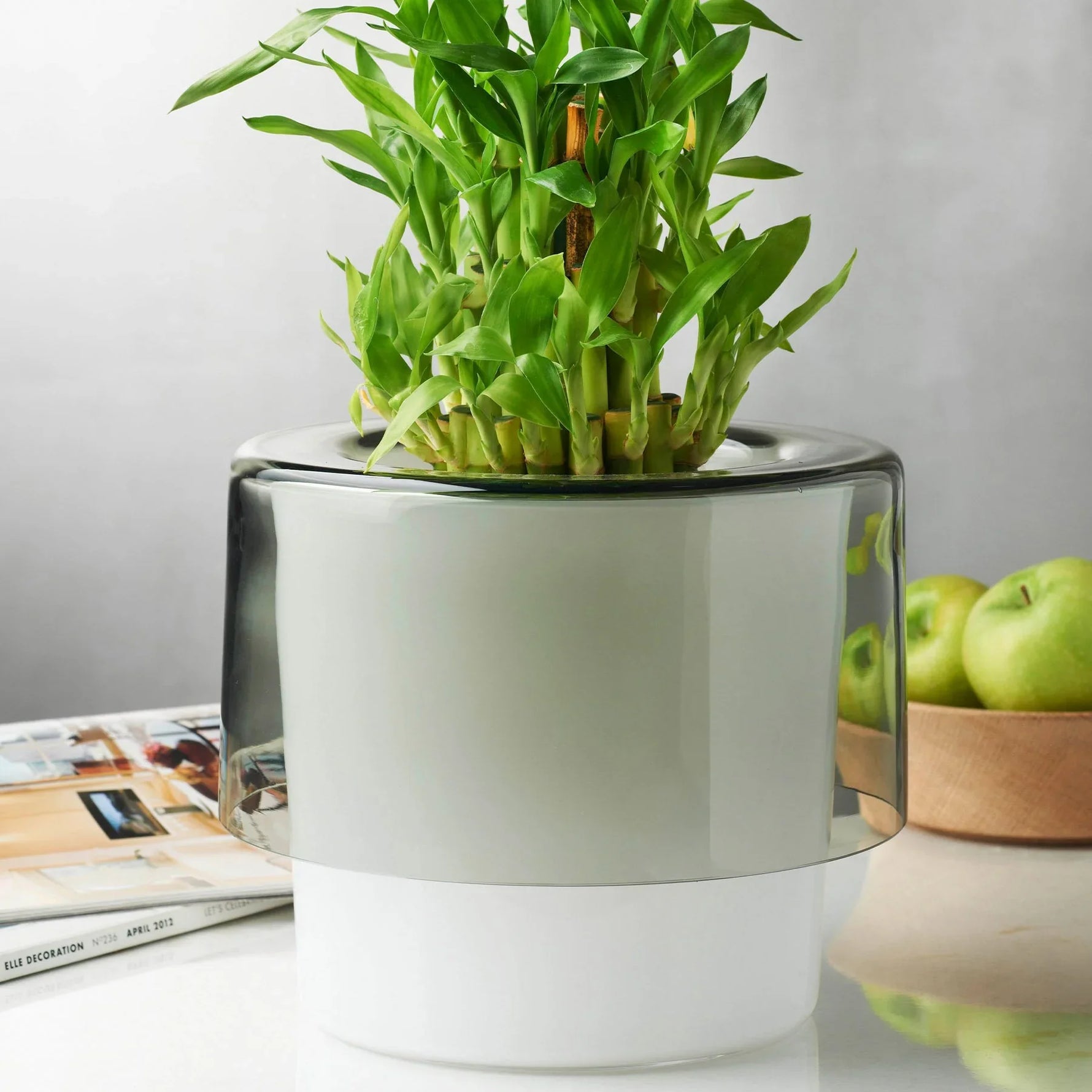 Roots Orchid Pot with Opal White Bottom - NUDE EU