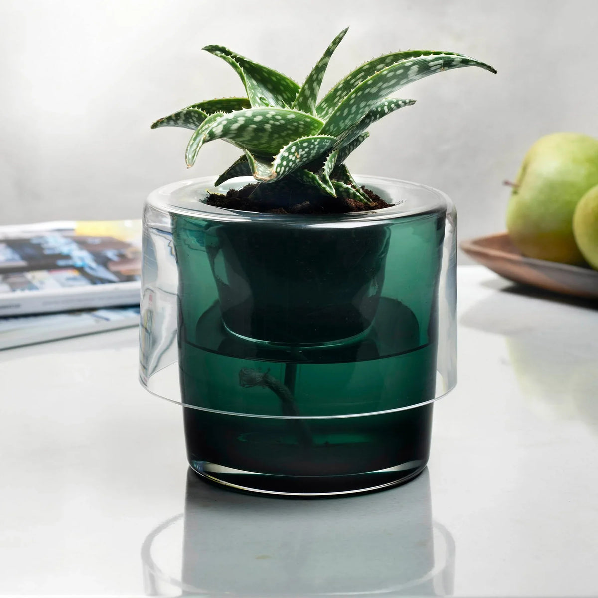 Roots Herb Pot Clear Top - NUDE EU