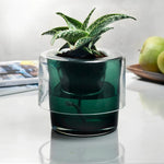 Roots Herb Pot Clear Top - NUDE EU