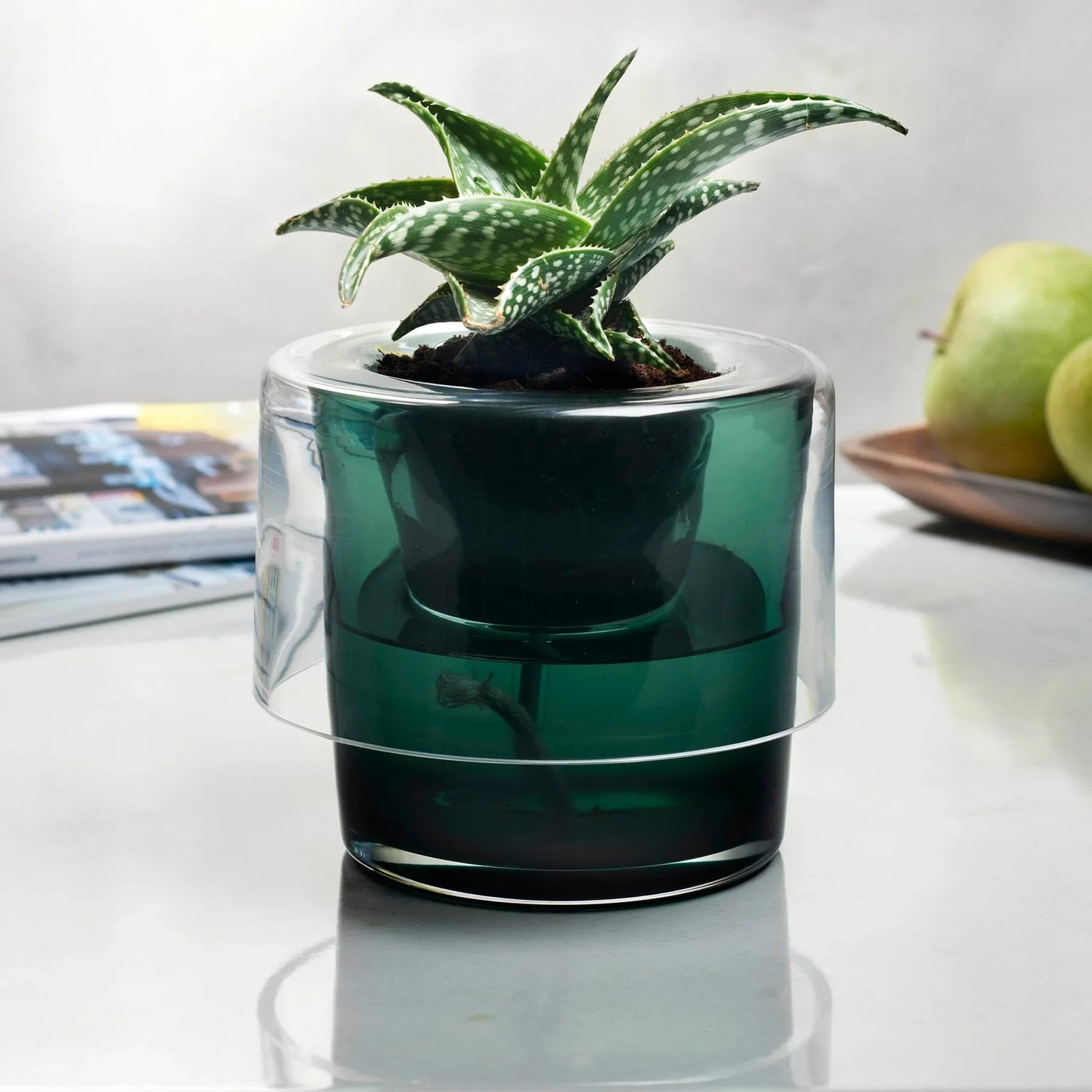 Roots Herb Pot Clear Top - NUDE EU