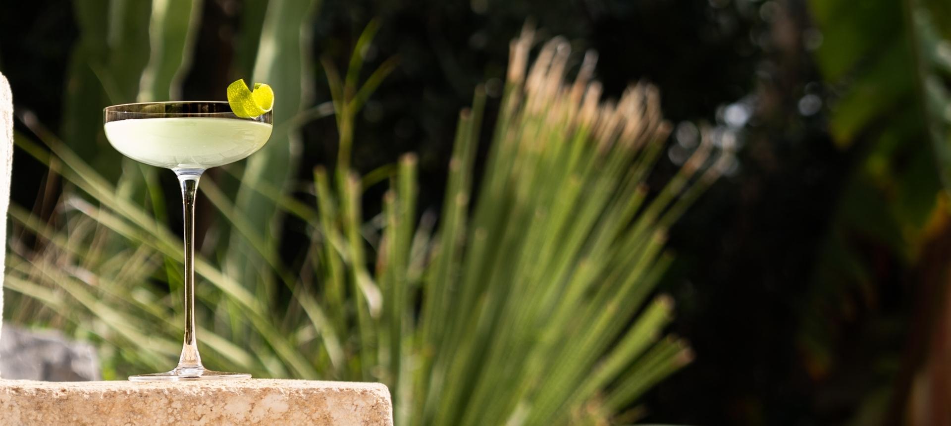 A Savage Coupe glass with a pale green cocktail and curled lime twist garnish rests on a sunlit stone ledge, with cactus and swaying garden grasses blurred in the background.