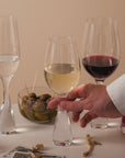 Wine Party Set of 2 Red Wine Glasses
