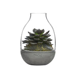 Eden Mini Terrarium Clear with Moulded Concrete Base - NUDE EU
