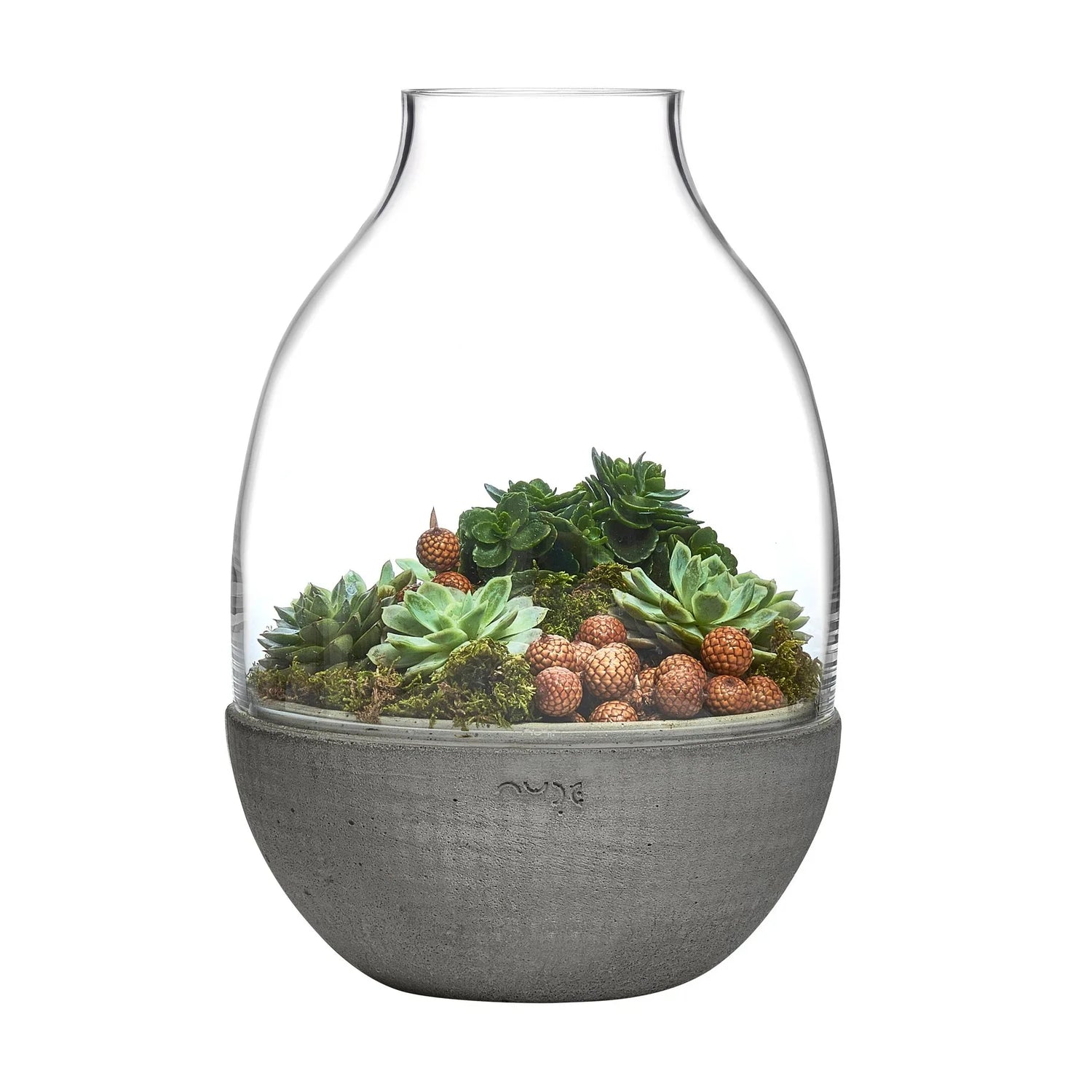 Eden Terrarium Clear with Moulded Concrete Base - NUDE EU