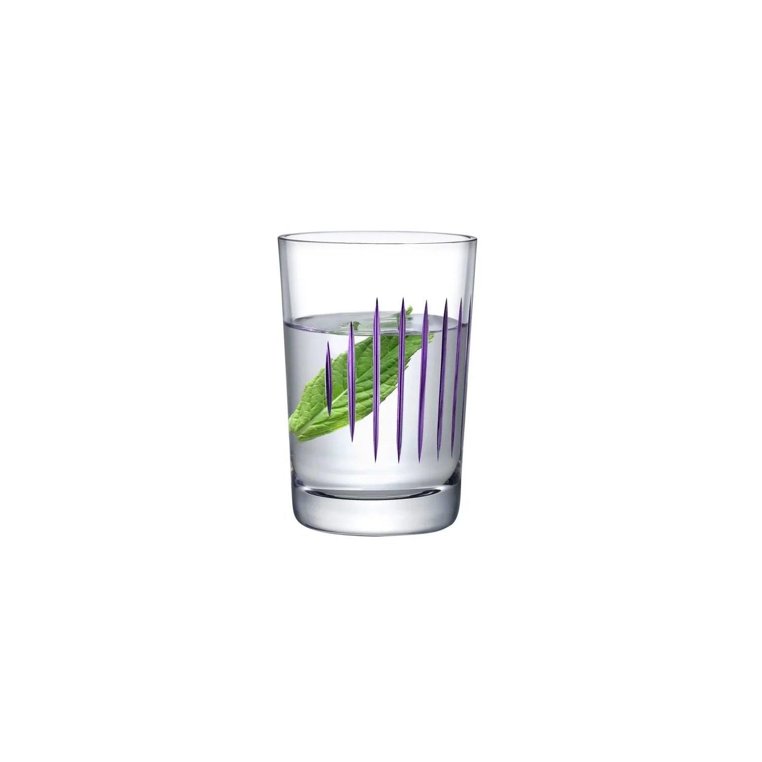 Parrot Set of 2 Water Glasses - NUDE EU
