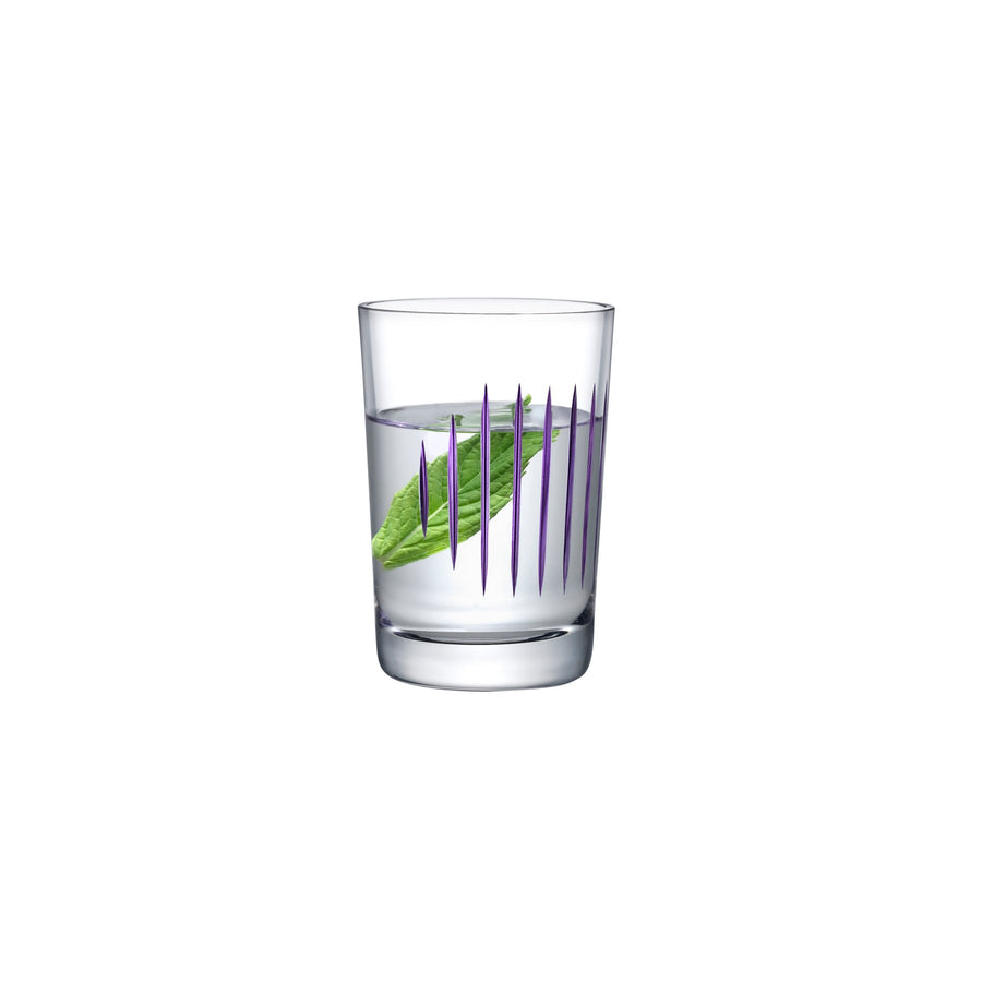 Parrot Set of 2 Water Glasses