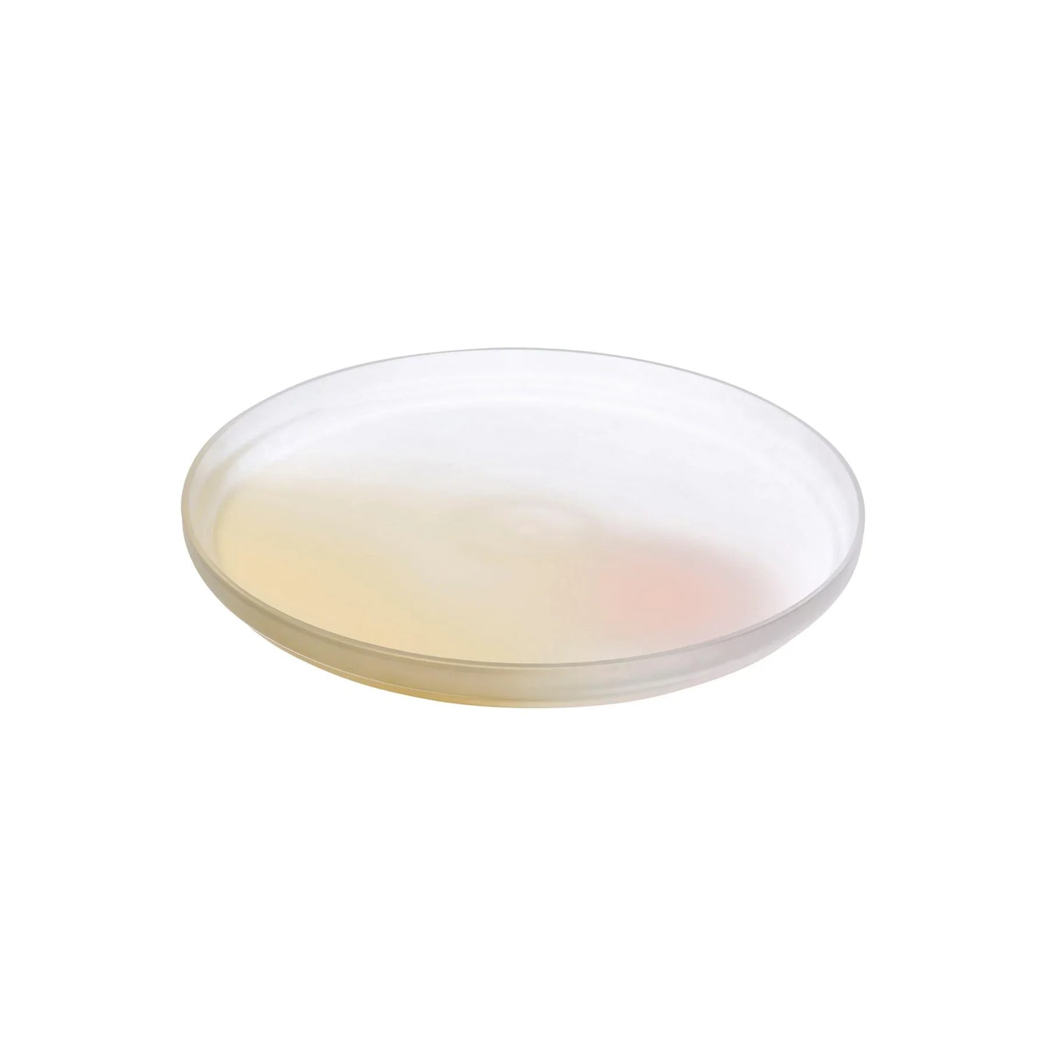 Pigmento Serving Dish 28 cm - NUDE EU