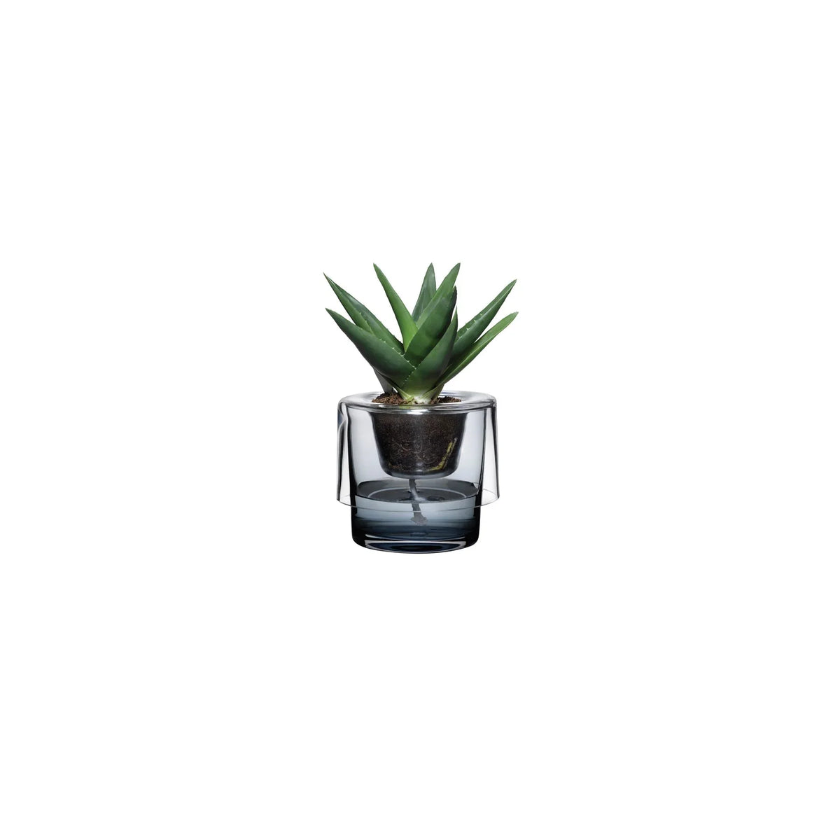 Roots Herb Pot Clear Top - NUDE EU