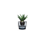 Roots Herb Pot Clear Top - NUDE EU