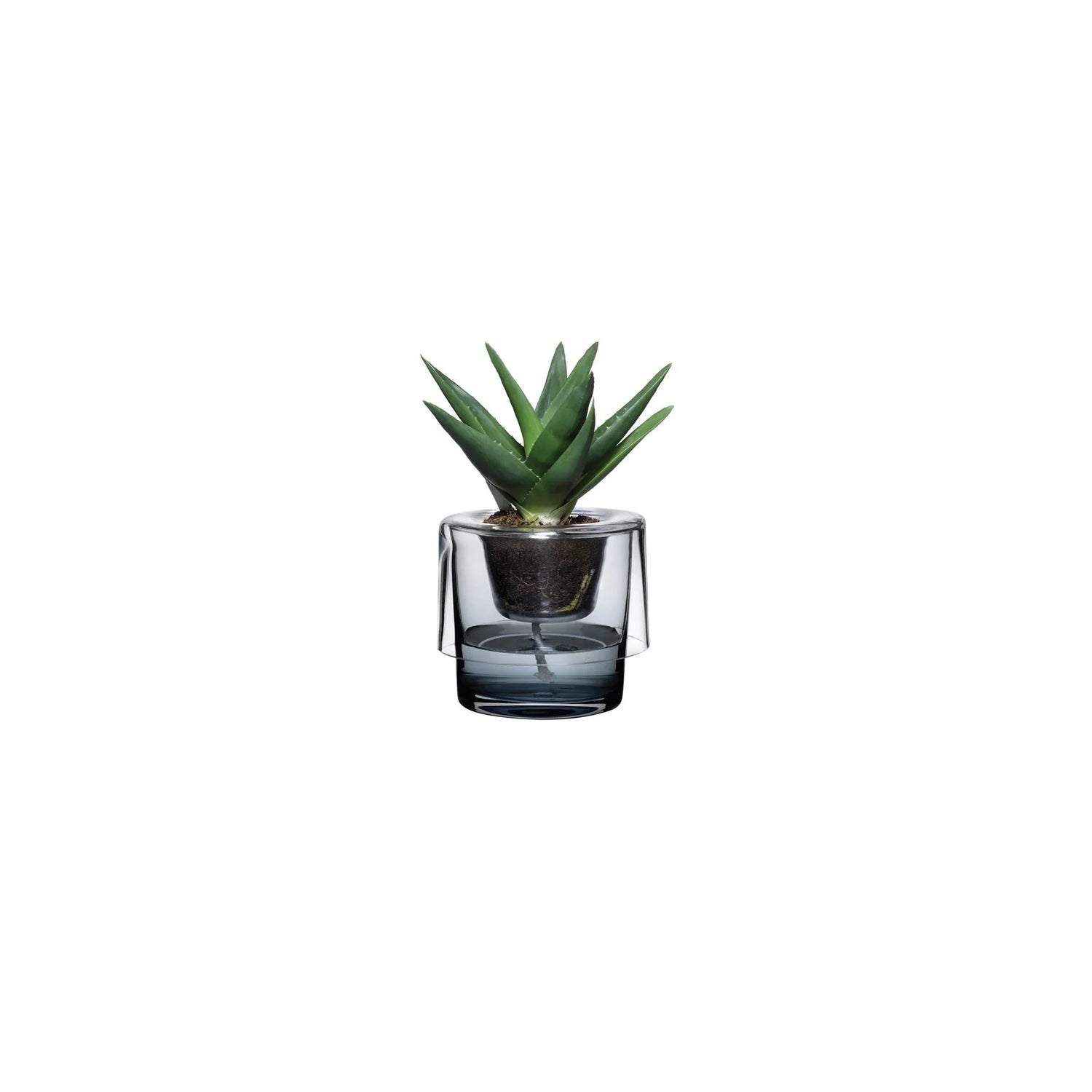 Roots Herb Pot Clear Top - NUDE EU