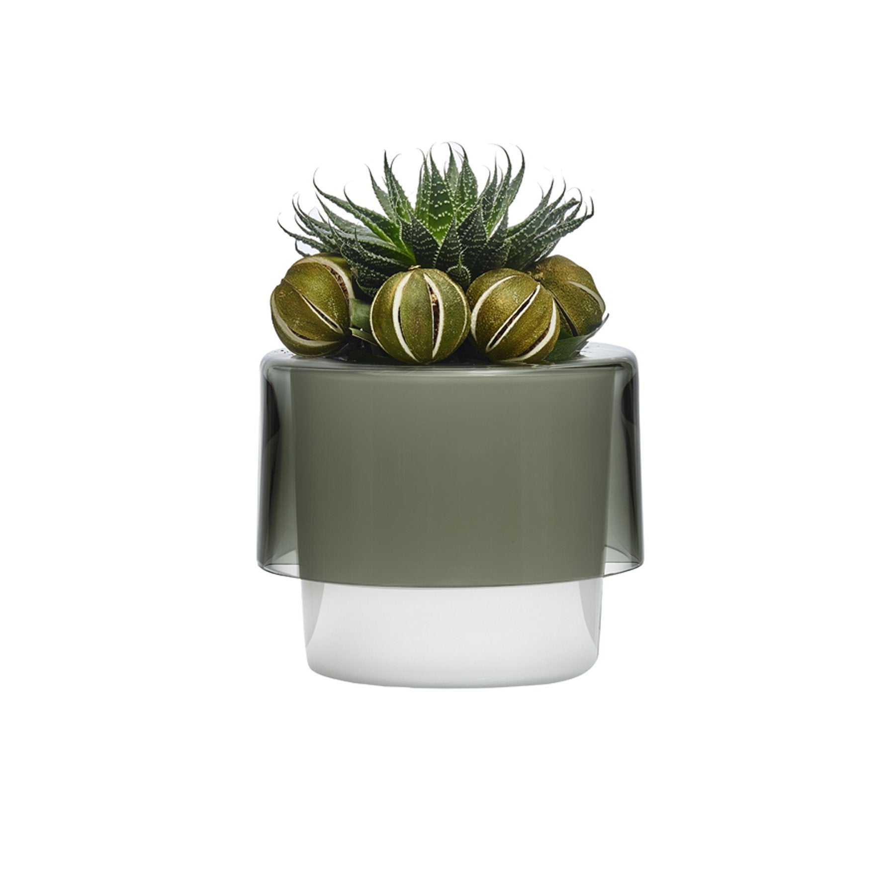 Vaso per orchidee Roots con fondo bianco opale