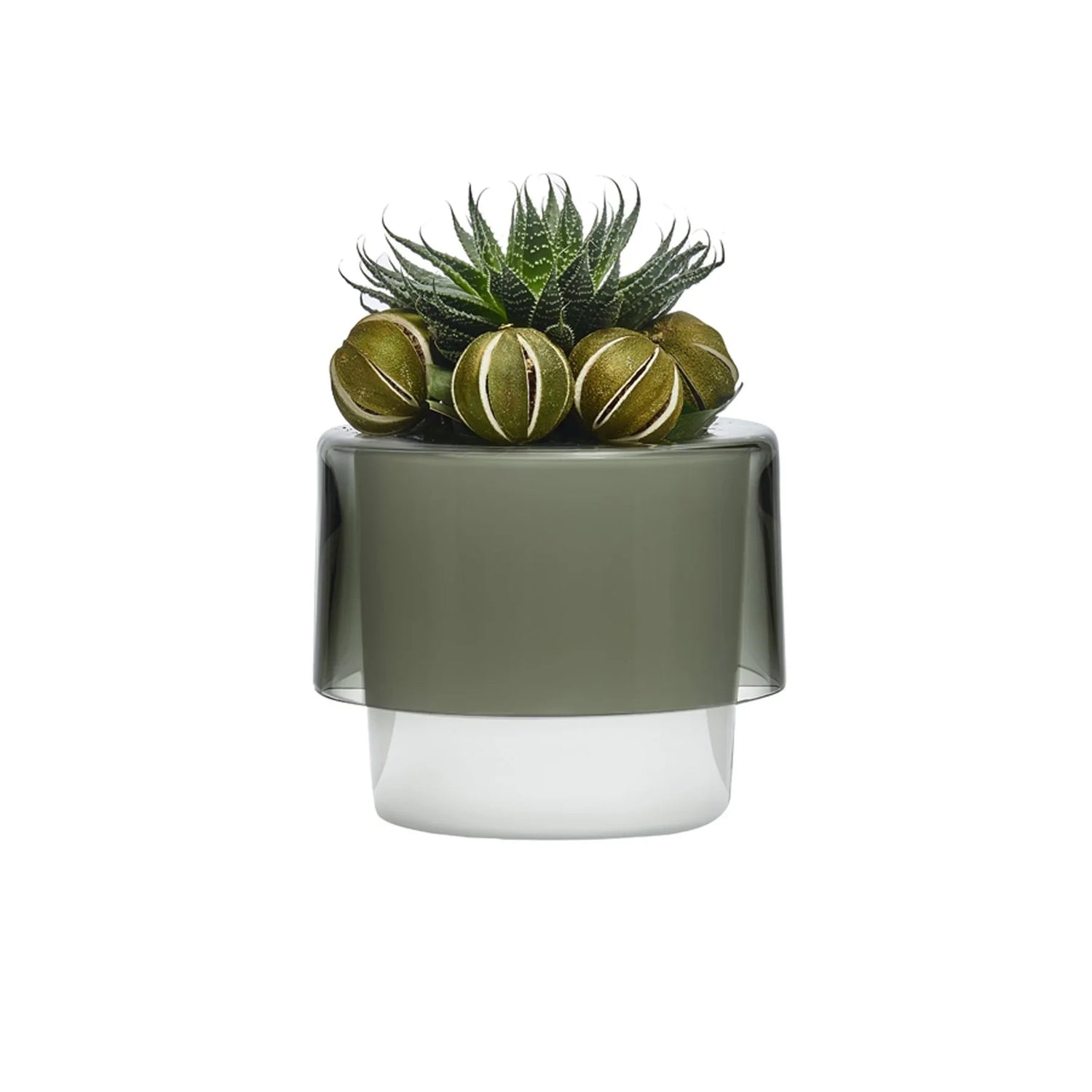 Roots Orchid Pot with Opal White Bottom - NUDE EU