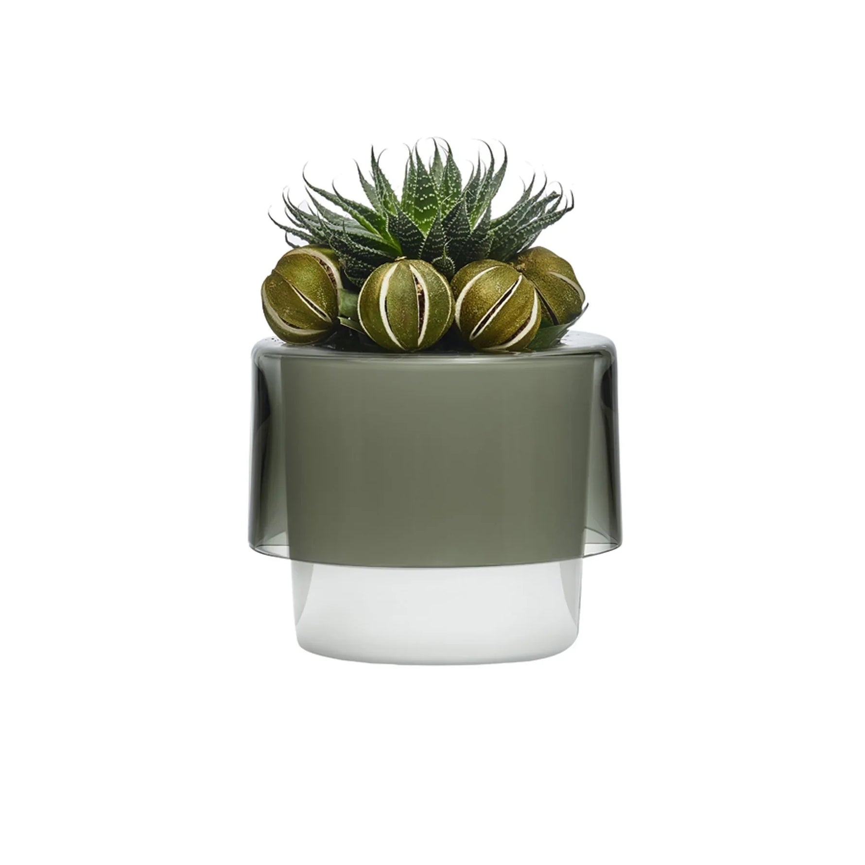 Roots Orchid Pot with Opal White Bottom - NUDE EU