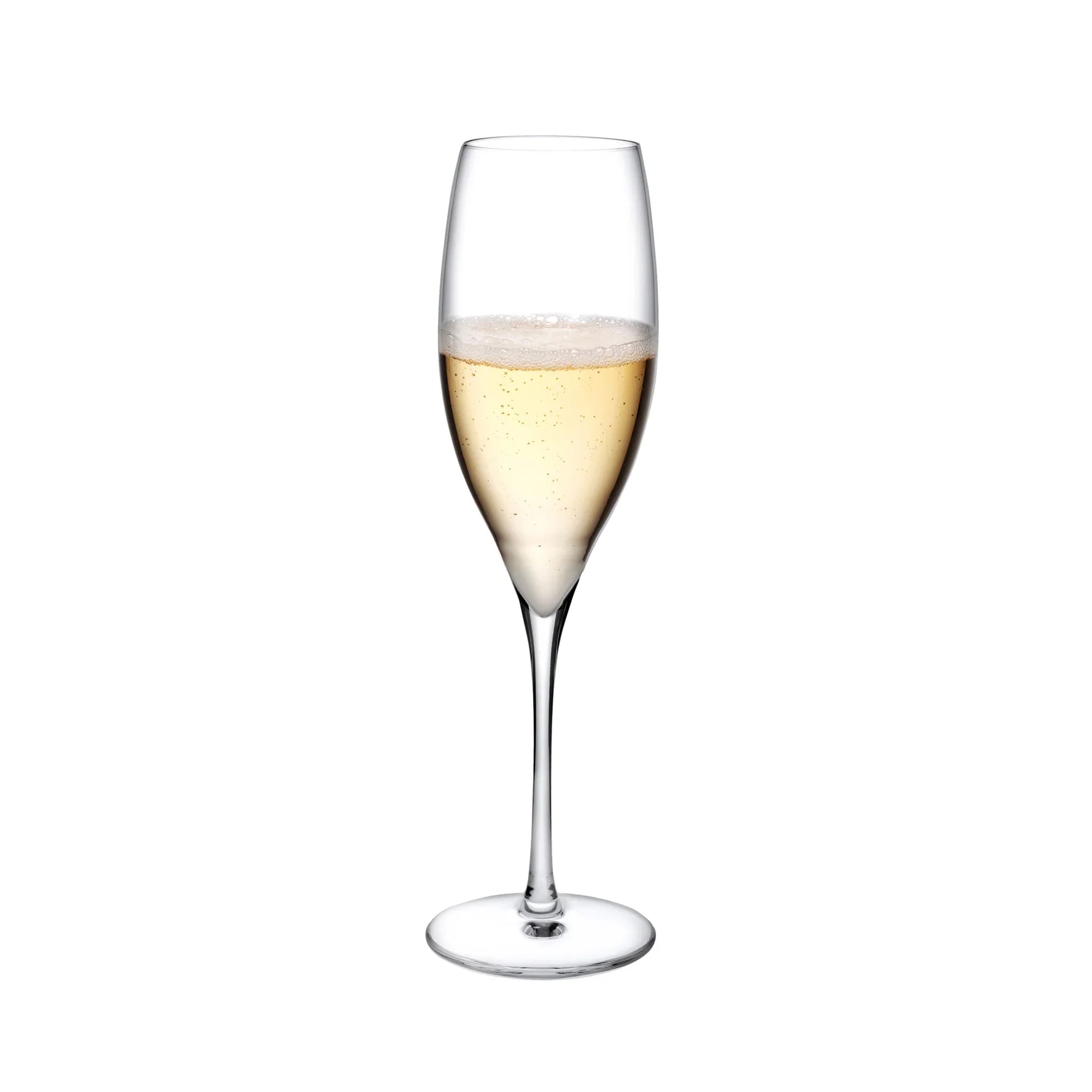Terroir Set of 2 Champagne Glasses - NUDE EU