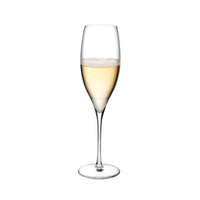 Terroir Set of 2 Champagne Glasses
