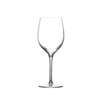 Terroir Set of 2 White Wine Glasses