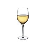 Terroir Set of 2 White Wine Glasses - NUDE EU