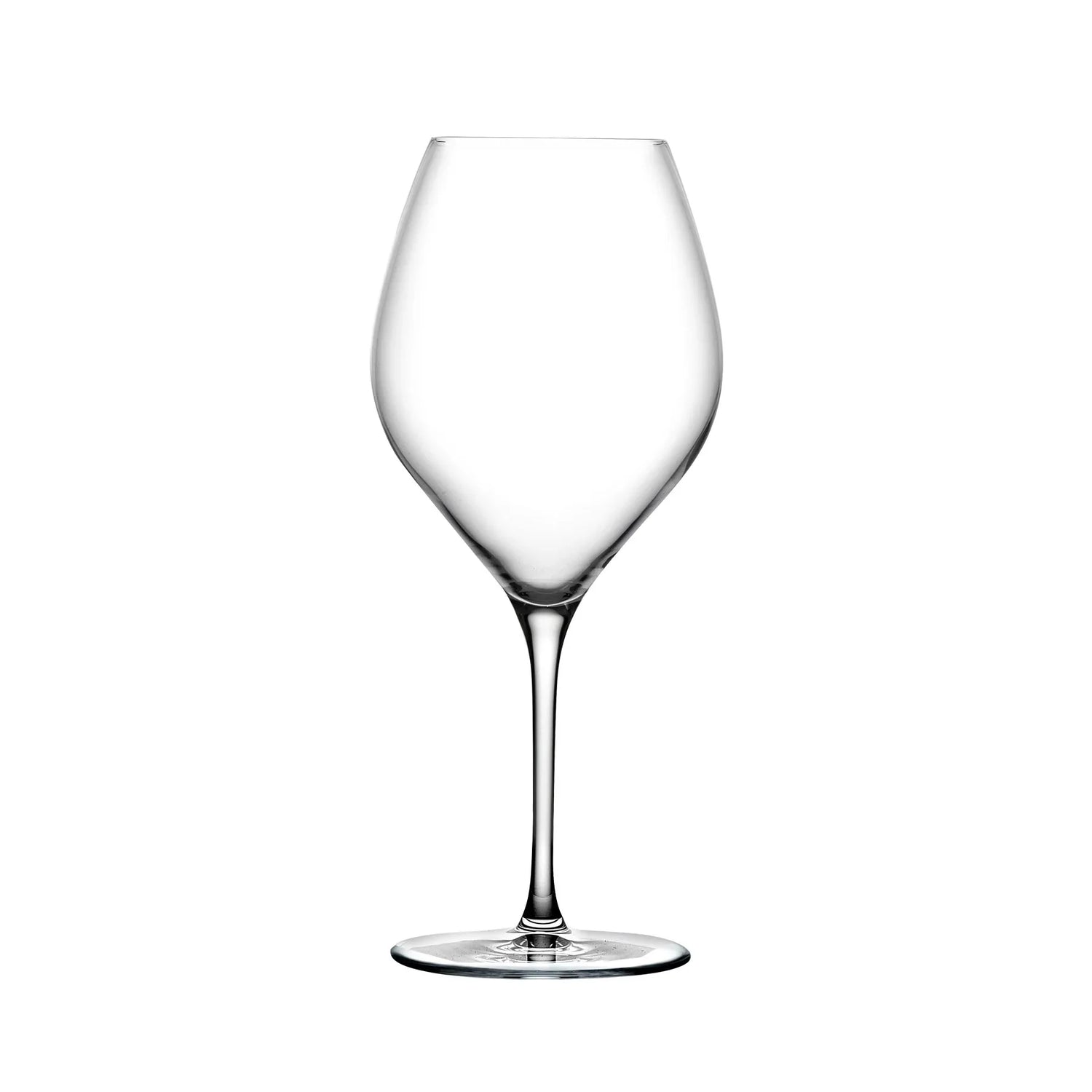Vinifera Set of 2 White Wine Glasses 600 cc - NUDE EU