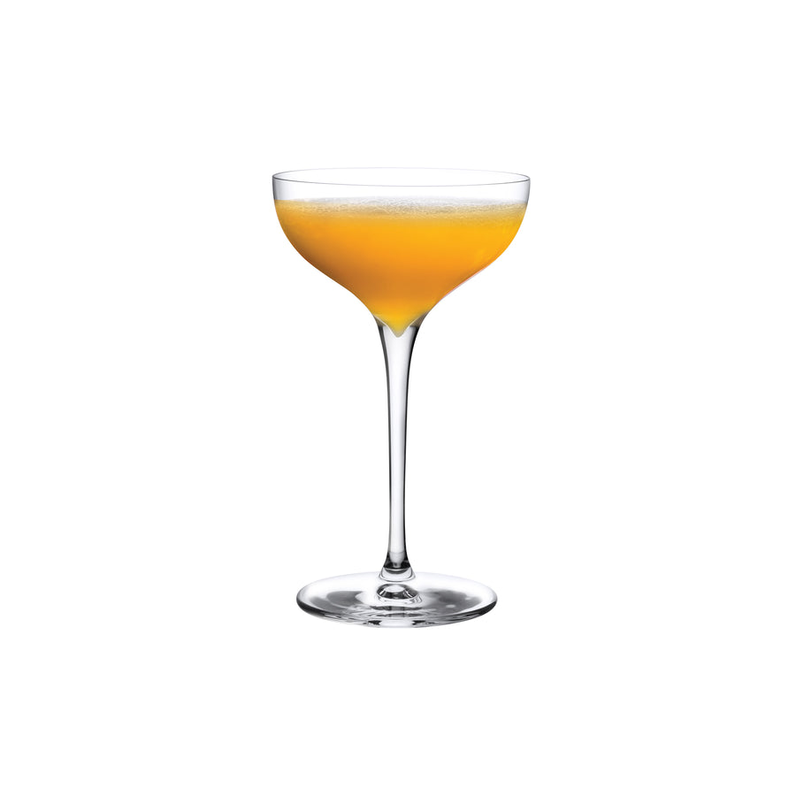 Terroir Set of 2 Coupe Glasses