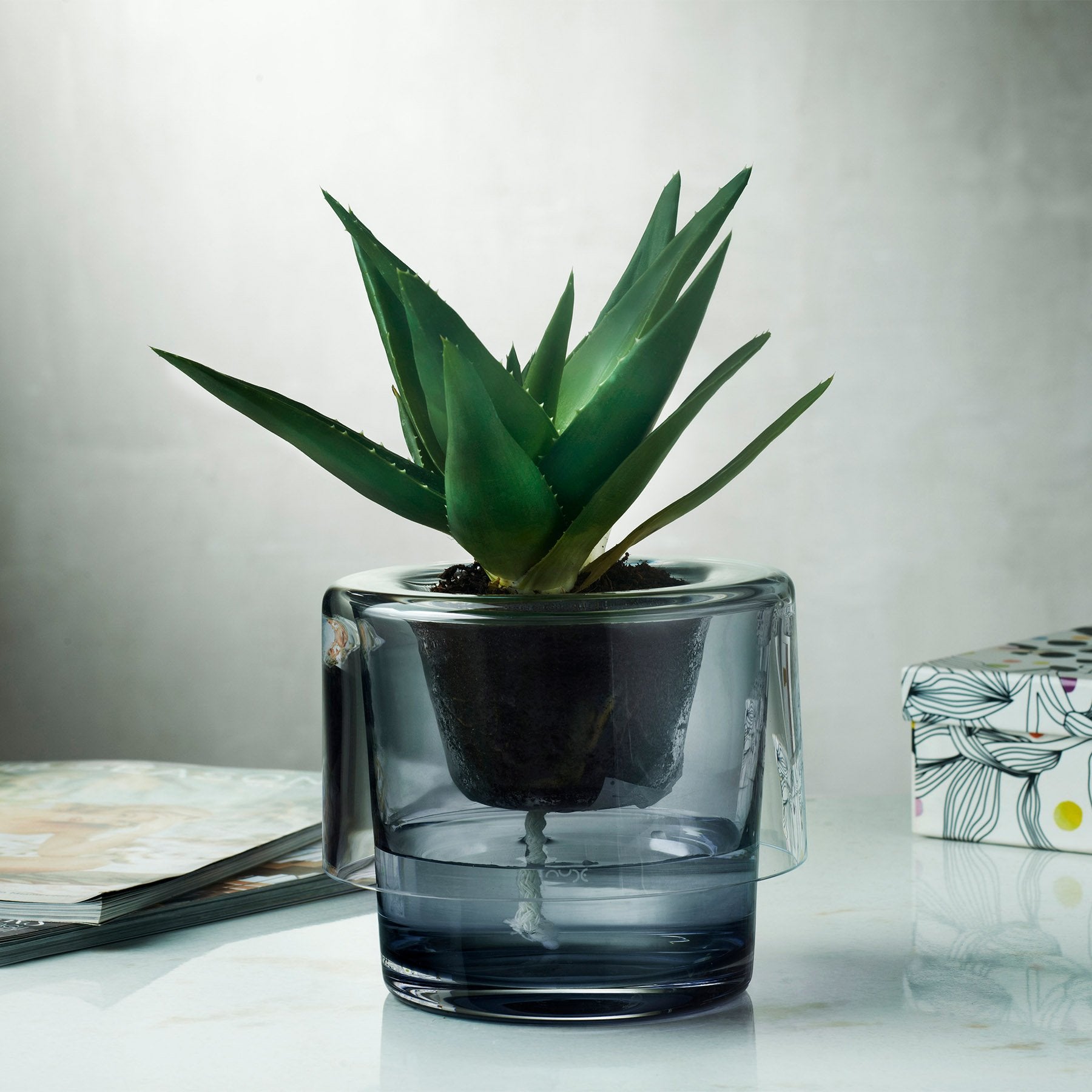 Vaso per erbe aromatiche con parte superiore trasparente