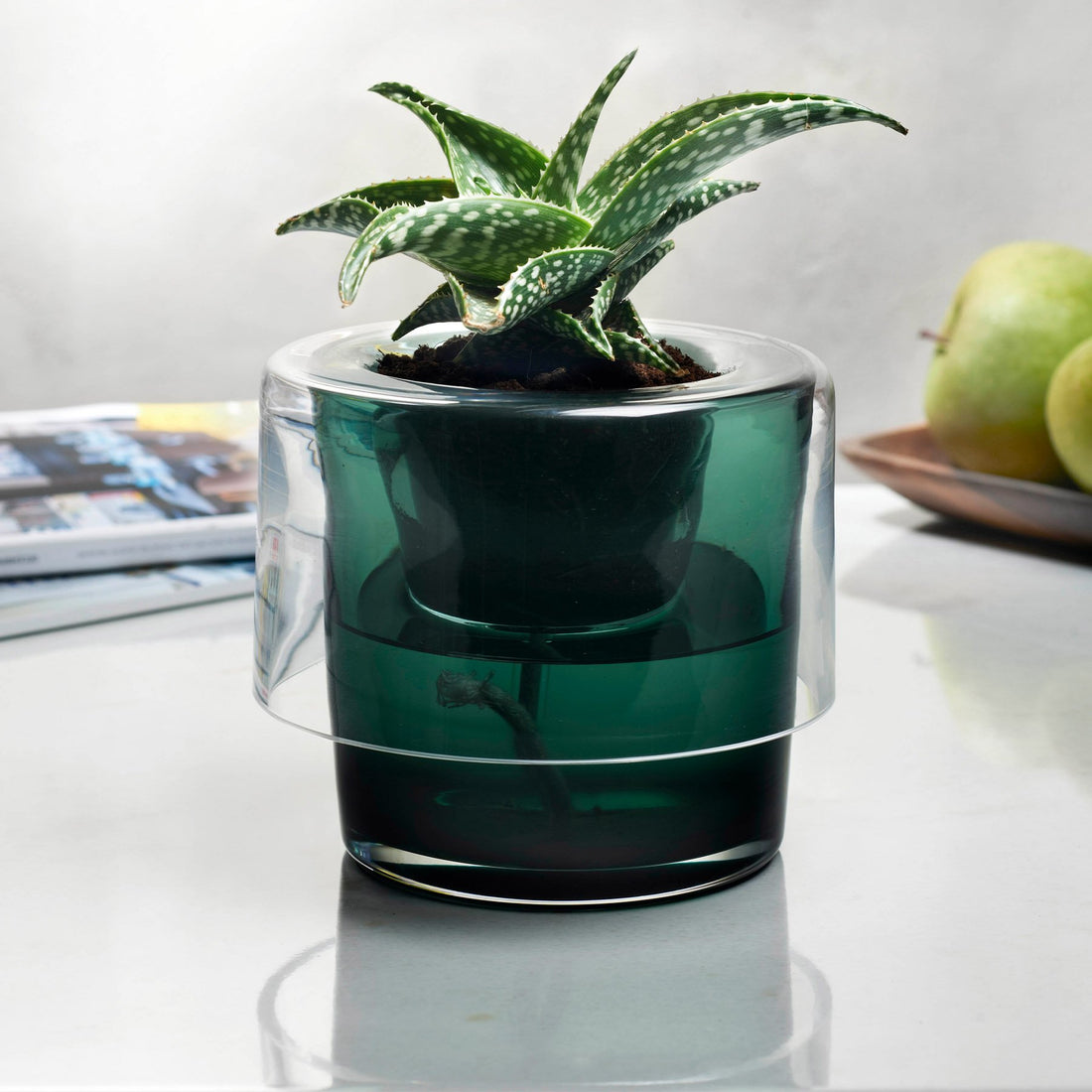 Roots Herb Pot Clear Top